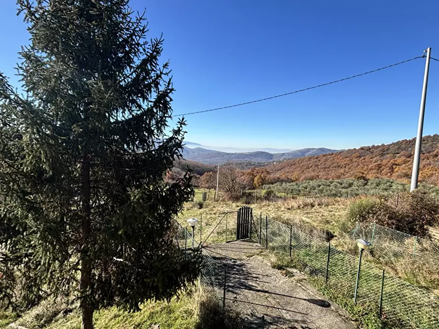 Immagine 3 di Appartamento in vendita  in Via cese frascose, 24 a Torre Cajetani