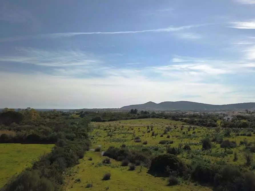 Immagine 10 di Terreno agricolo in vendita  in LocalitÃ  BirgalavÃ² strada provinciale, 0 a Budoni