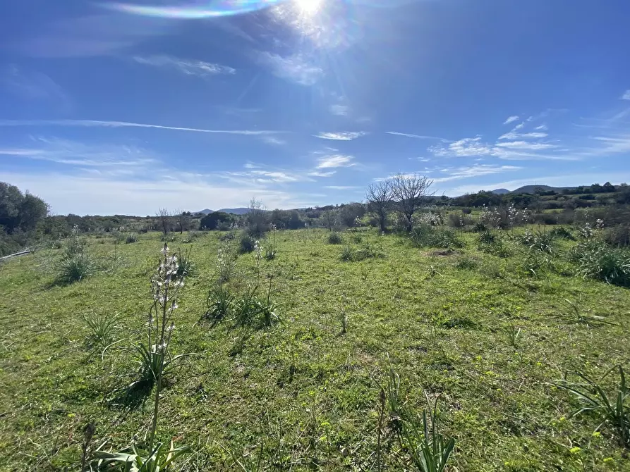 Immagine 3 di Terreno agricolo in vendita  in LocalitÃ  BirgalavÃ² strada provinciale, 0 a Budoni
