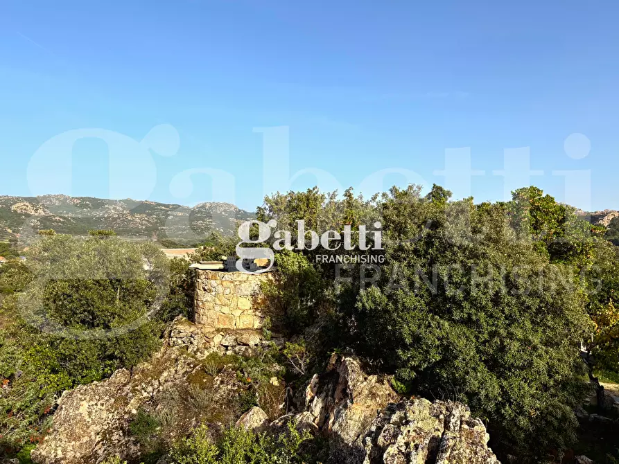 Immagine 29 di Magazzino in vendita  in LocalitÃ  Sas Enas, 2 a Padru