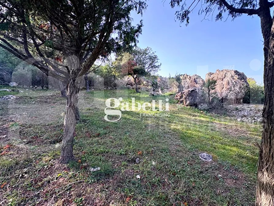 Immagine 27 di Magazzino in vendita  in LocalitÃ  Sas Enas, 2 a Padru