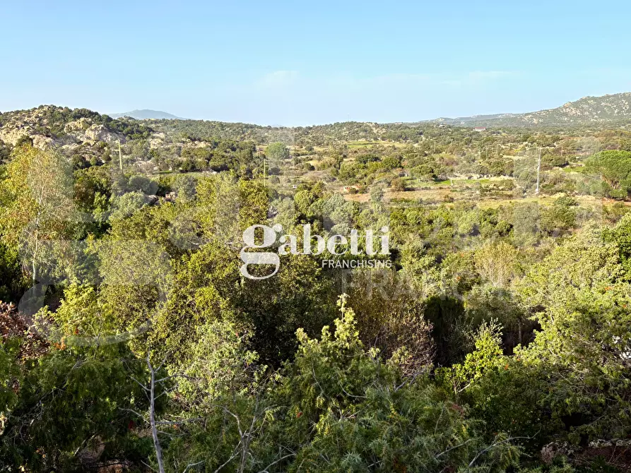 Immagine 31 di Magazzino in vendita  in LocalitÃ  Sas Enas, 2 a Padru