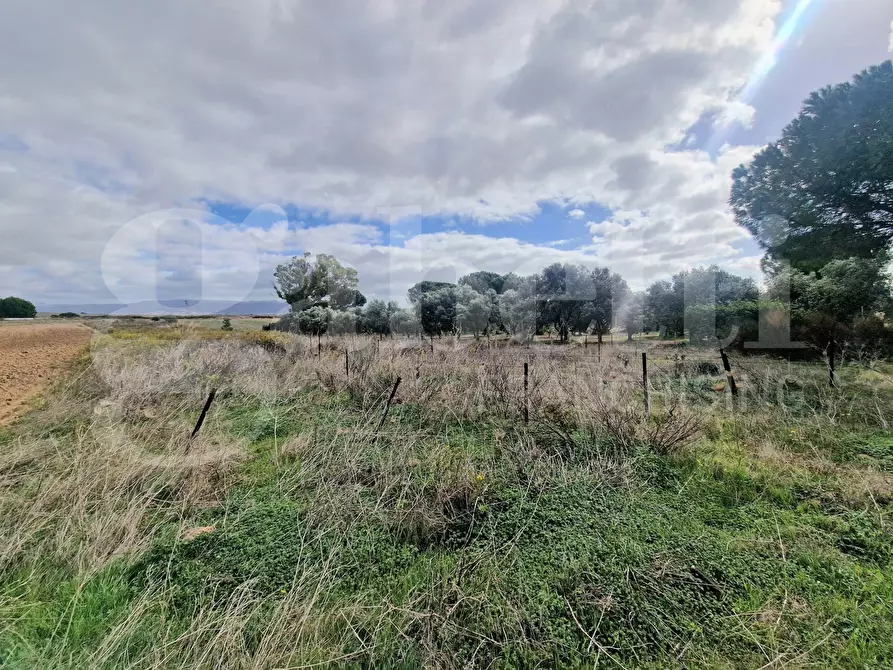 Immagine 2 di Terreno agricolo in vendita  in Strada provinciale 9, snc a Sestu