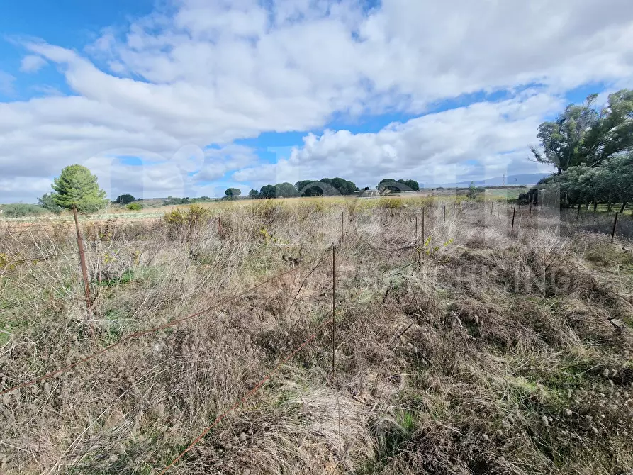 Immagine 6 di Terreno agricolo in vendita  in Strada provinciale 9, snc a Sestu