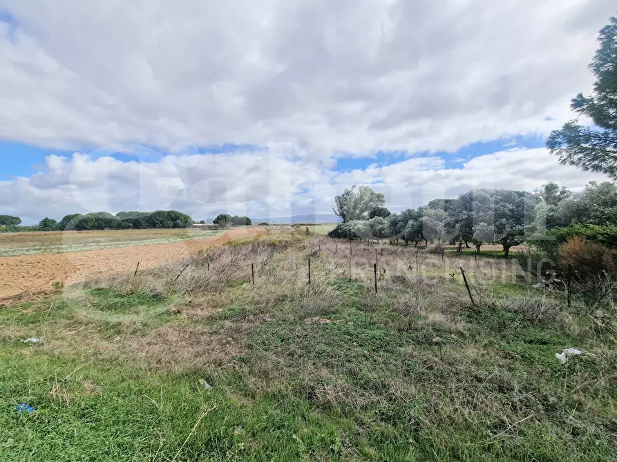 Immagine 3 di Terreno agricolo in vendita  in Strada provinciale 9, snc a Sestu