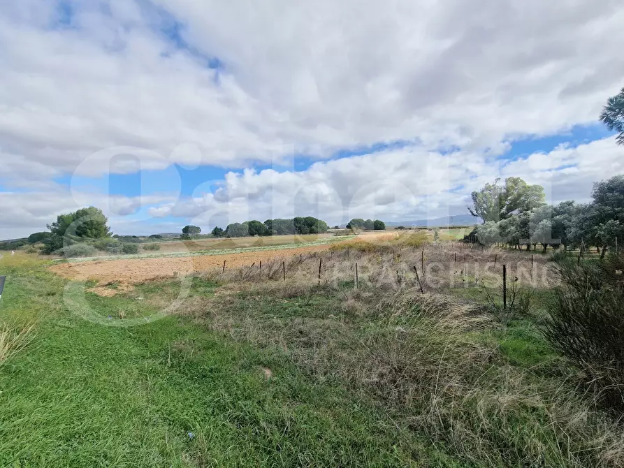 Immagine 5 di Terreno agricolo in vendita  in Strada provinciale 9, snc a Sestu
