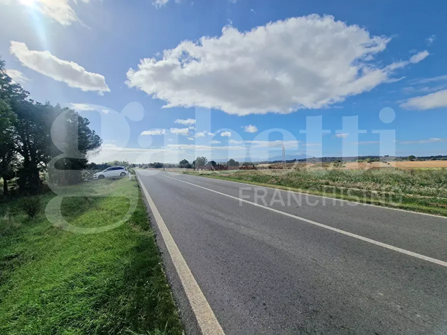 Immagine 4 di Terreno agricolo in vendita  in Strada provinciale 9, snc a Sestu