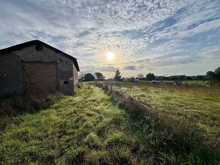 Immagine 15 di Villa in vendita  in Via Di Boccea, 1012 a Roma