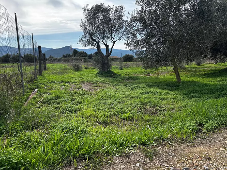 Immagine 12 di Casa indipendente in vendita  in LocalitÃ  Arriari, snc a Villamassargia