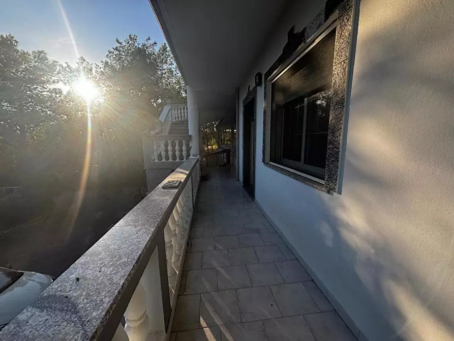 Immagine 12 di Casa trifamiliare in vendita  in LocalitÃ  Perdu Sarigu, snc a Teulada