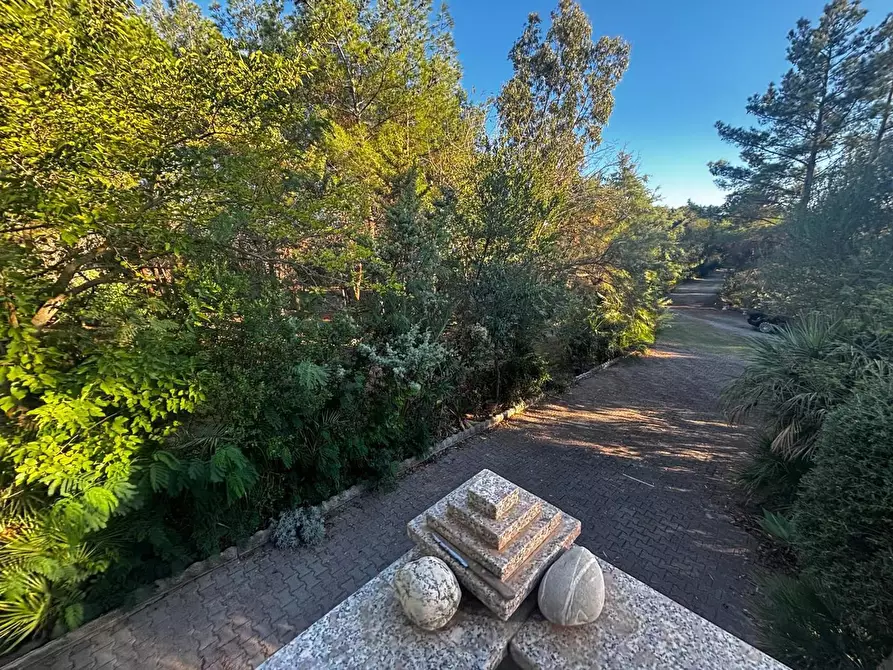 Immagine 17 di Casa trifamiliare in vendita  in LocalitÃ  Perdu Sarigu, snc a Teulada