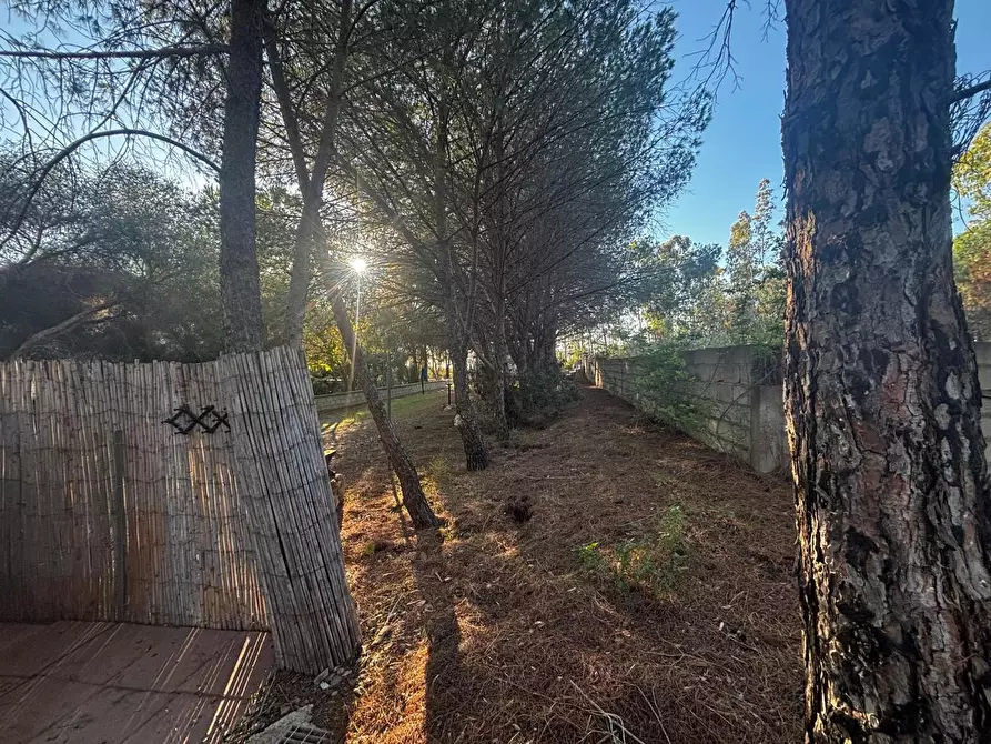 Immagine 10 di Casa trifamiliare in vendita  in LocalitÃ  Perdu Sarigu, snc a Teulada