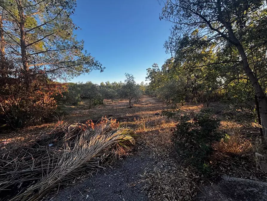 Immagine 9 di Casa trifamiliare in vendita  in LocalitÃ  Perdu Sarigu, snc a Teulada