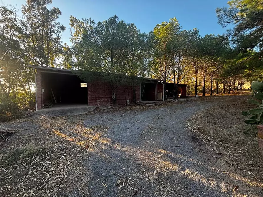 Immagine 5 di Casa trifamiliare in vendita  in LocalitÃ  Perdu Sarigu, snc a Teulada
