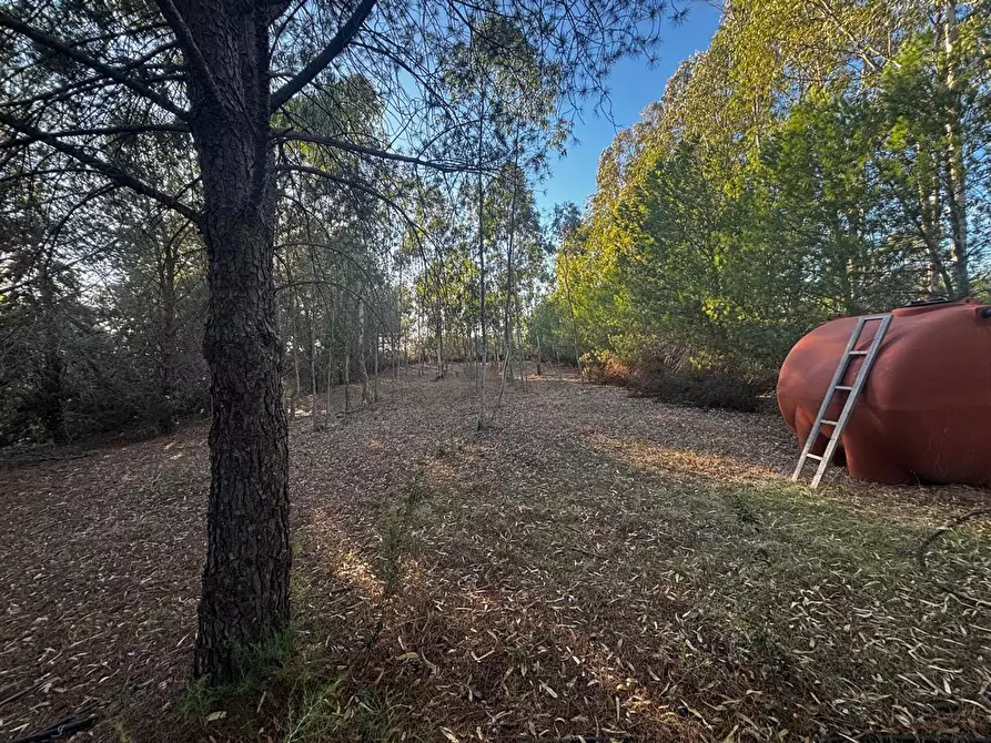 Immagine 11 di Casa trifamiliare in vendita  in LocalitÃ  Perdu Sarigu, snc a Teulada