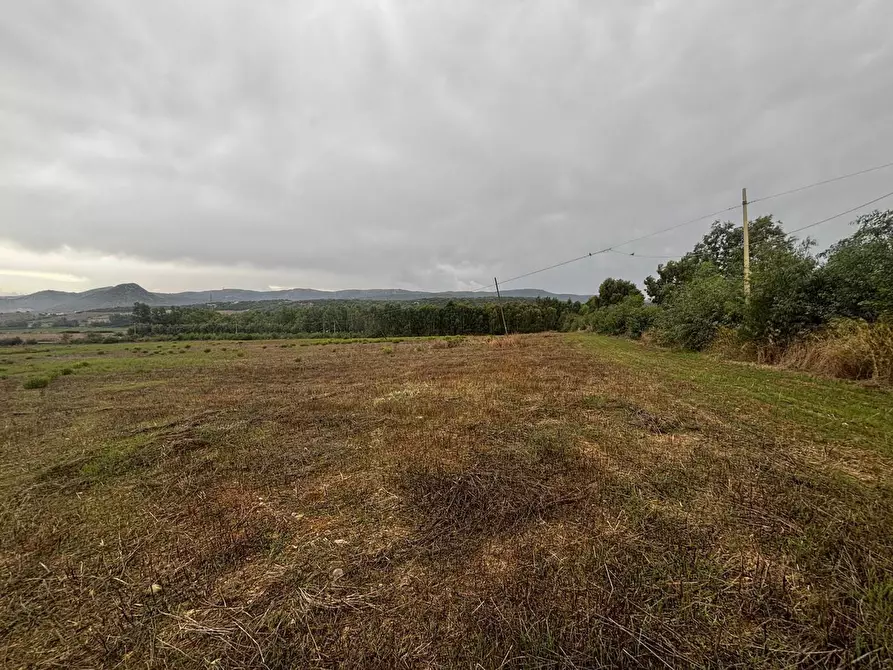 Immagine 2 di Terreno agricolo in vendita  in LocalitÃ  Tallaroga, snc a Villamassargia
