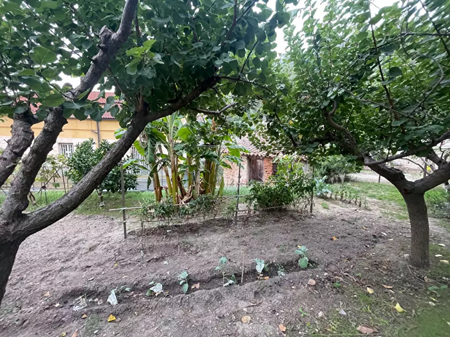 Immagine 31 di Casa indipendente in vendita  in Via ctd Scoppo, 62 a Messina
