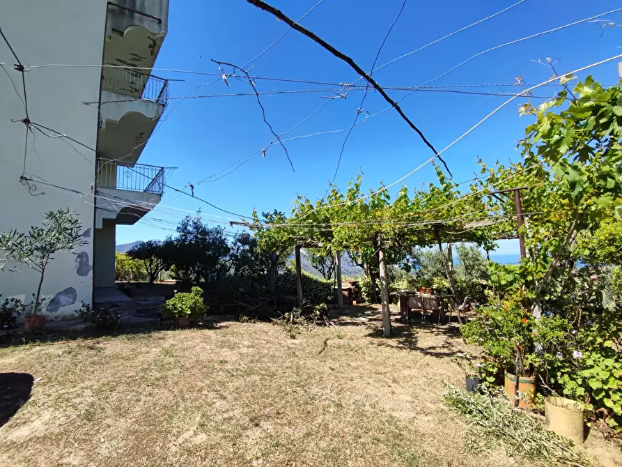 Immagine 2 di Palazzo in vendita  in Via SANTA LUCIA, 41 a Davoli