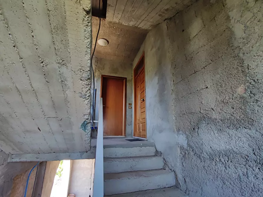 Immagine 18 di Palazzo in vendita  in Via SANTA LUCIA, 41 a Davoli