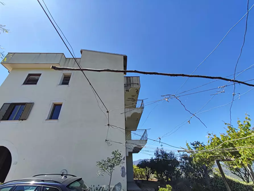 Immagine 6 di Palazzo in vendita  in Via SANTA LUCIA, 41 a Davoli