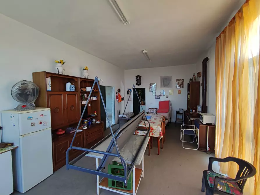 Immagine 16 di Palazzo in vendita  in Via SANTA LUCIA, 41 a Davoli