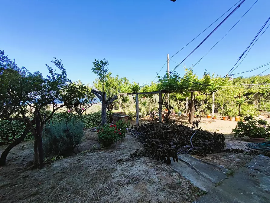 Immagine 43 di Palazzo in vendita  in Via SANTA LUCIA, 41 a Davoli