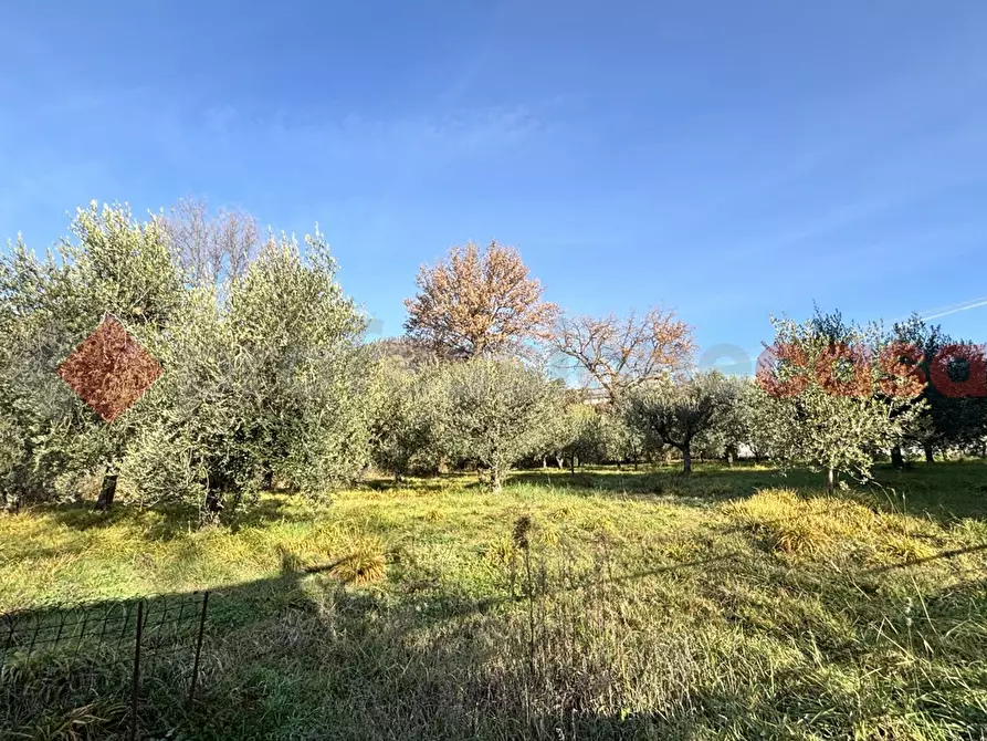 Immagine 26 di Villa in vendita  in Via valle dâuovo, 3 a Fumone