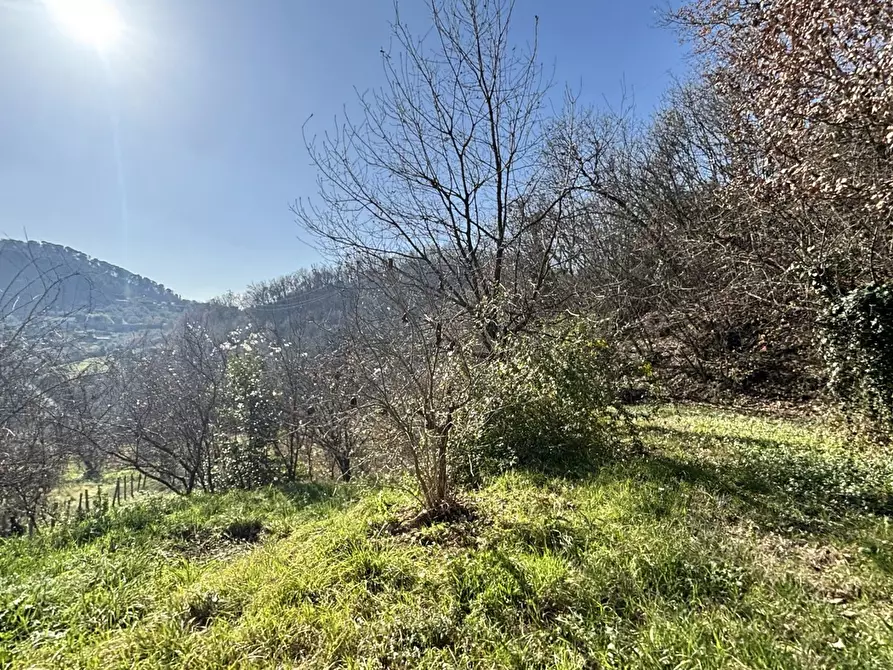 Immagine 18 di Rustico / casale in vendita  in Via Monte San Marino, snc a Alatri