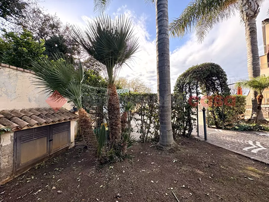 Immagine 4 di Casa quadrifamiliare in vendita  in Via PENELOPE, 374 a Sperlonga
