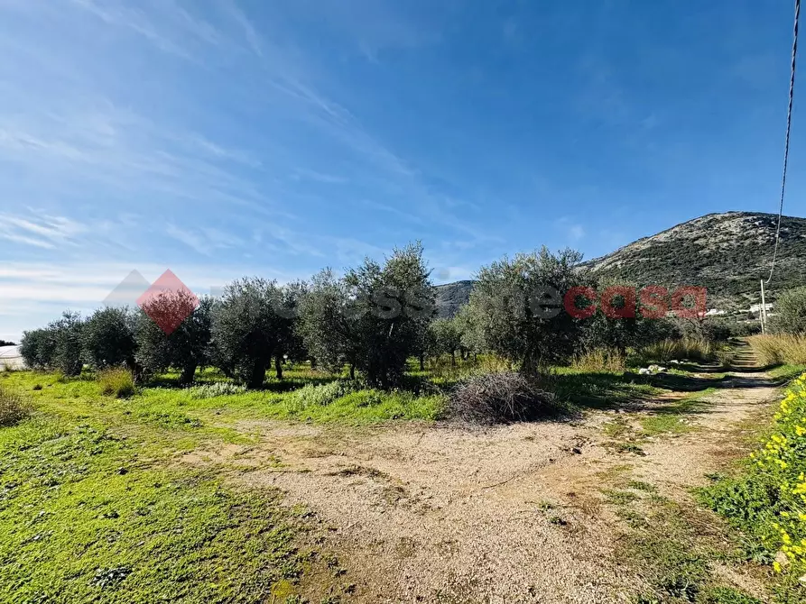 Immagine 2 di Terreno agricolo in vendita  in Via SELVOTTA, 40 a Terracina