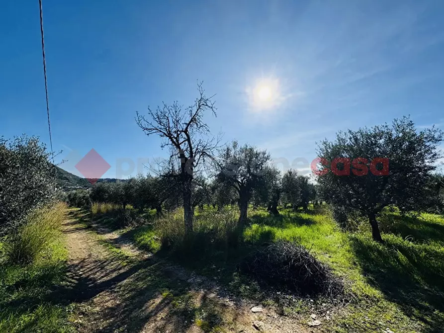 Immagine 13 di Terreno agricolo in vendita  in Via SELVOTTA, 40 a Terracina