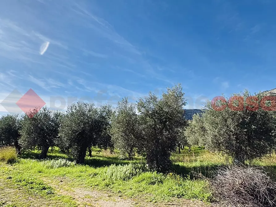 Immagine 1 di Terreno agricolo in vendita  in Via SELVOTTA, 40 a Terracina