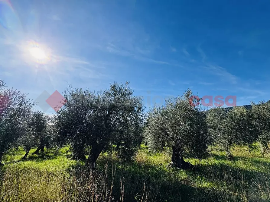 Immagine 8 di Terreno agricolo in vendita  in Via SELVOTTA, 40 a Terracina