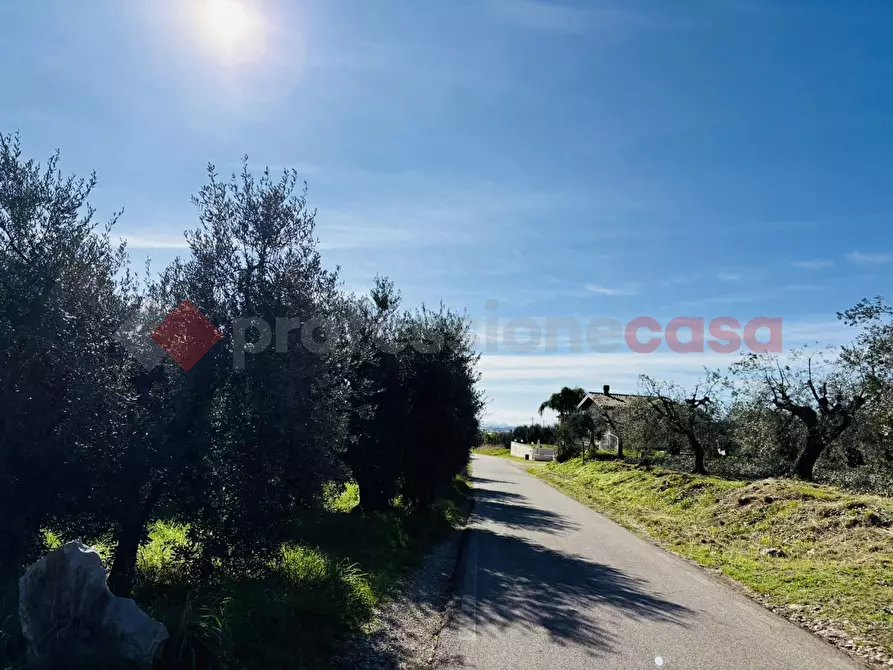 Immagine 16 di Terreno agricolo in vendita  in Via SELVOTTA, 40 a Terracina