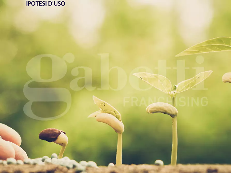 Immagine 7 di Terreno agricolo in vendita  in Via CA' BIANCA - VIA GORZONE, 00 a Chioggia