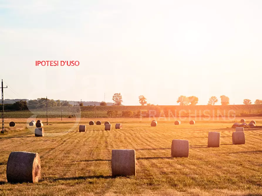 Immagine 5 di Terreno agricolo in vendita  in Via CA' BIANCA - VIA GORZONE, 00 a Chioggia