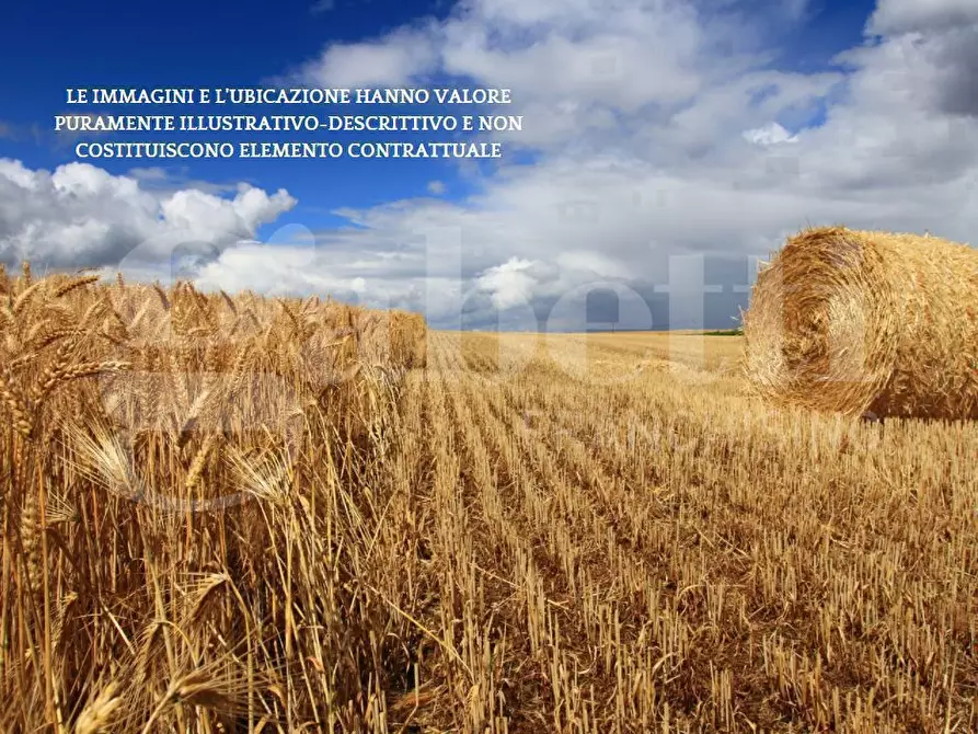 Immagine 4 di Terreno agricolo in vendita  in Via CA' BIANCA - VIA GORZONE, 00 a Chioggia