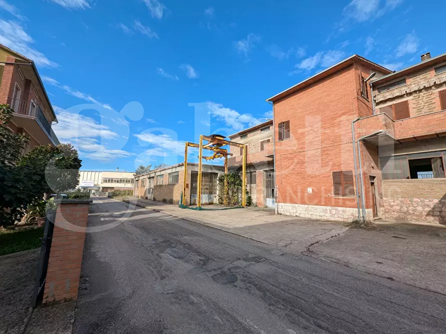 Immagine 2 di Capannone industriale in vendita  in Via TIBERINA, 1 a Deruta