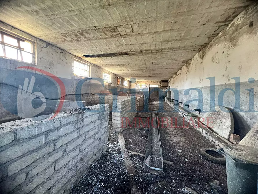 Immagine 12 di Rustico / casale in vendita  in Via vocabolo trebbiano a Piegaro