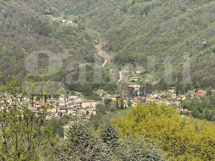 Immagine 1 di Appartamento in vendita  in Via monti di sera, snc a Asso
