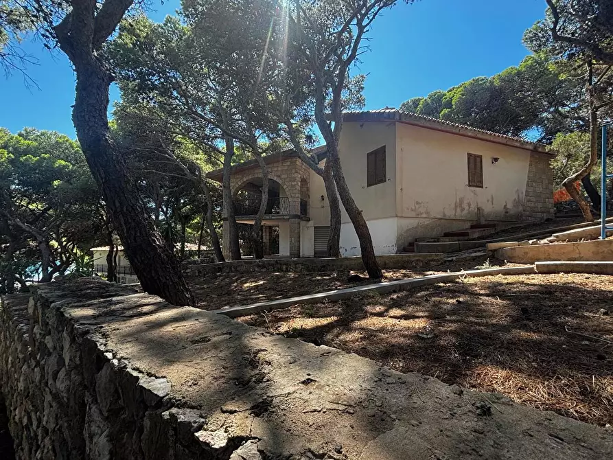 Immagine 1 di Villa in vendita  in LocalitÃ  Porto Pino, snc a Sant'anna Arresi