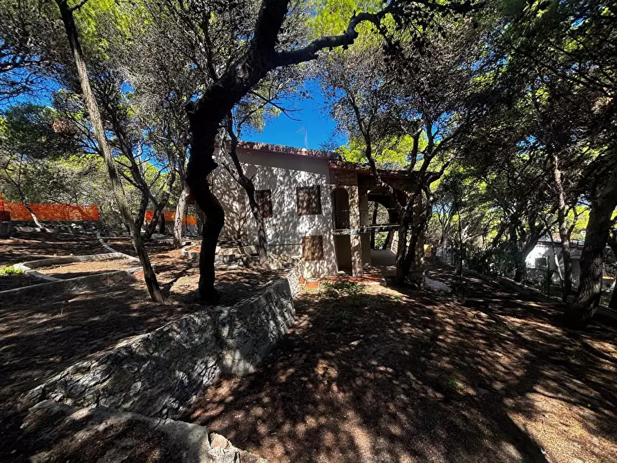 Immagine 6 di Villa in vendita  in LocalitÃ  Porto Pino, snc a Sant'anna Arresi