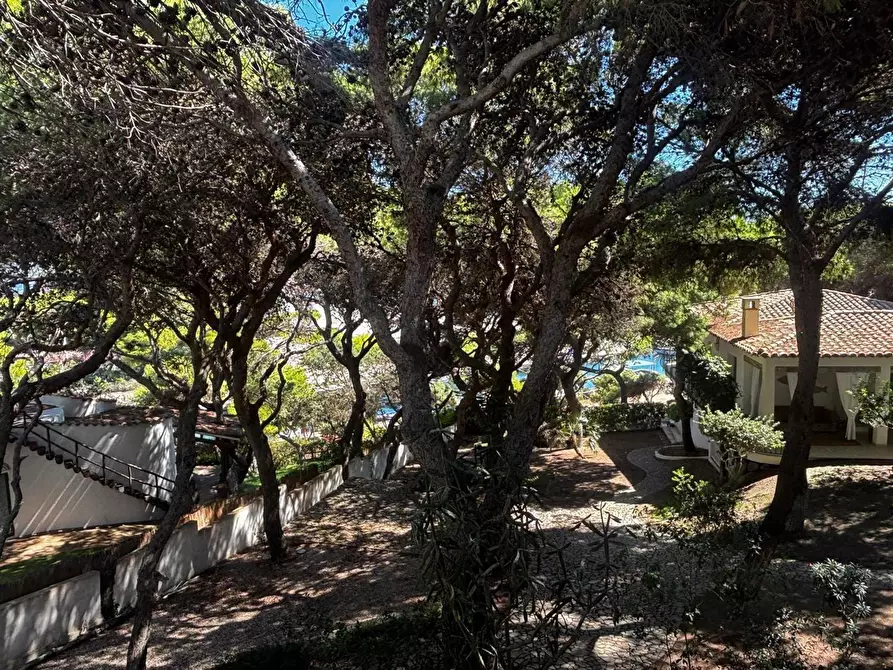 Immagine 10 di Villa in vendita  in LocalitÃ  Porto Pino, snc a Sant'anna Arresi
