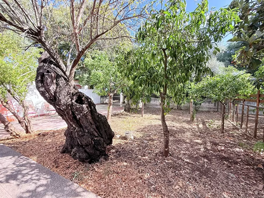 Immagine 3 di Appartamento in vendita  in Strada OGNINA, 1 a Siracusa