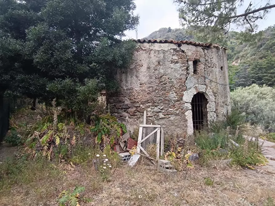 Immagine 5 di Terreno agricolo in vendita  in Via Zafferia, contrada cardÃ , snc a Messina