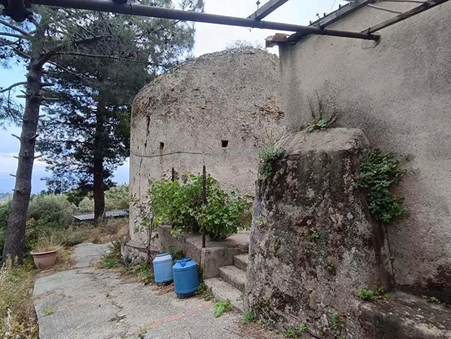 Immagine 4 di Terreno agricolo in vendita  in Via Zafferia, contrada cardÃ , snc a Messina