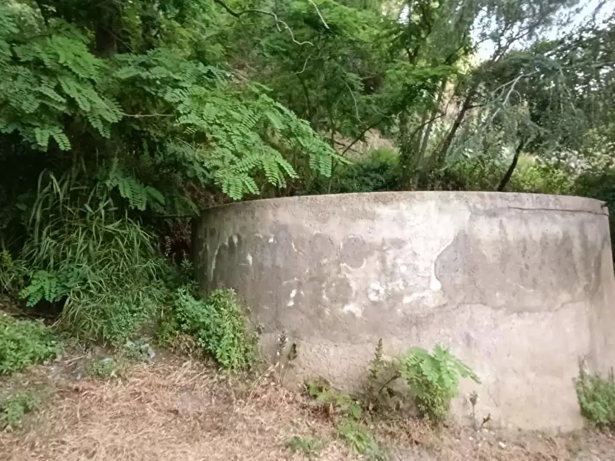 Immagine 10 di Terreno agricolo in vendita  in Via Zafferia, contrada cardÃ , snc a Messina