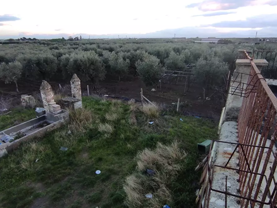 Immagine 10 di Terreno agricolo in vendita  in Via SAN ROCCO, SNC a San Severo