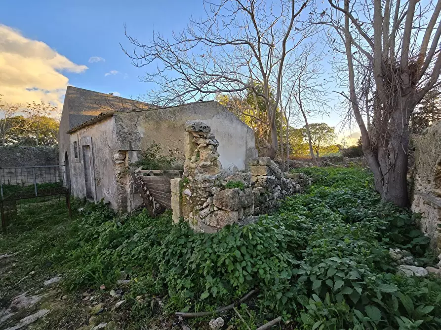 Immagine 3 di Terreno agricolo in vendita  in Contrada porcari, snc a Noto