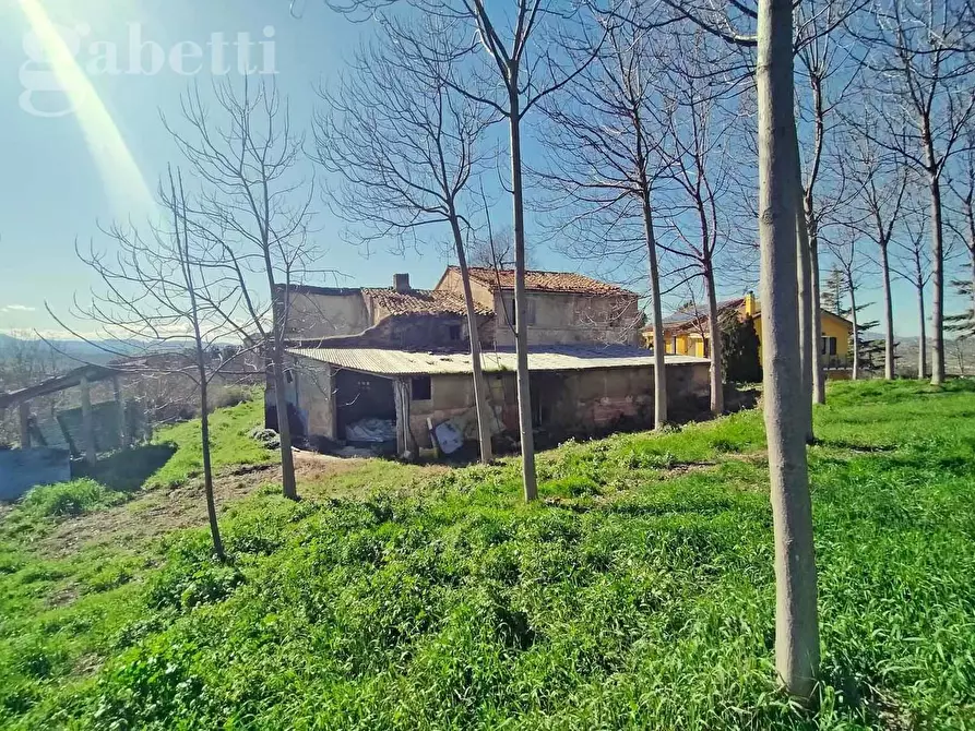 Immagine 2 di Rustico / casale in vendita  in Strada APOLLONIA, 2 a Corinaldo